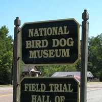 National Bird Dog Museum