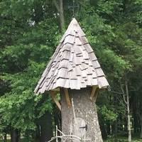 Tree Stump House