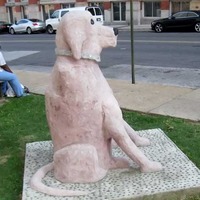 Lopsided Pink Dog