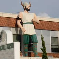 High School Viking Giant