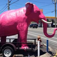 Pinkie: Pink Elephant