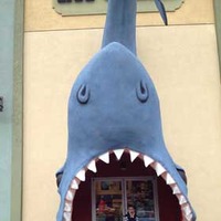 Big Shark Store Entrance