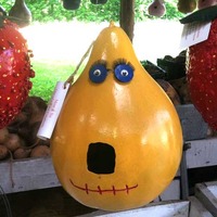Backcountry Gourd Art Supermarket