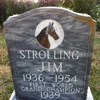 Grave of Strolling Jim, Tennessee Walking Horse