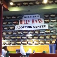 World's First Billy Bass Adoption Center