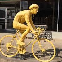 Yellow Bicycle Man