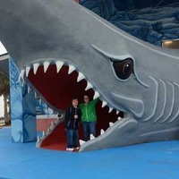 Inviting Shark Mouth Entrance