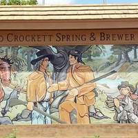 Davy Crockett Spring