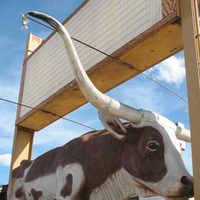Big Longhorn Steer Statue