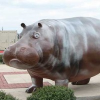Hutto Hippo Statues