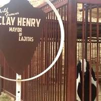 Clay Henry: Goat Mayor