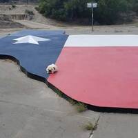 Texas-Shaped Flag