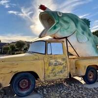 Giant Bass in a Pickup Truck