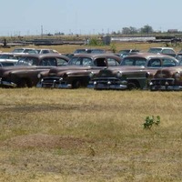 Field of Rusting Classic Cars