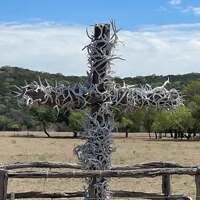 Cross Covered in Antlers