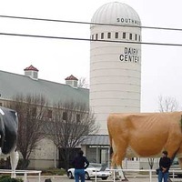 Southwest Dairy Center and Museum - Big Cows