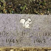 Grave of Shorty the Squirrel