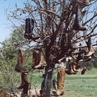 Dot's Mini Museum - Cowboy Boot Tree