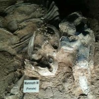 Waco Mammoth Site: Indoor Boneyard