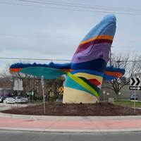 Whale in a Traffic Circle