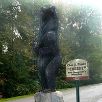 Chessie the Bear