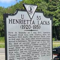 Super Cells of Henrietta Lacks