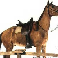 Stonewall Jackson's Stuffed Horse