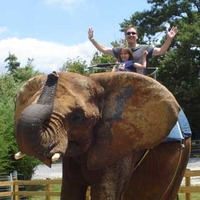 Natural Bridge Zoo Elephant Rides