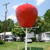 Giant Apple on a Stick