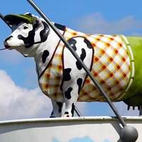 Cowtopia: Minigolf with Cows