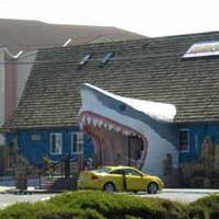Sharky's Shark Head Entrance