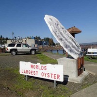 World's Largest Oyster