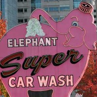 Neon: Pink Elephant Car Wash