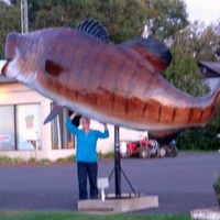 Giant Smallmouth Bass
