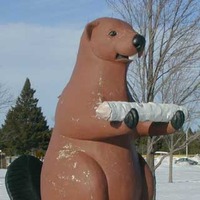 Beaver Territory Statue