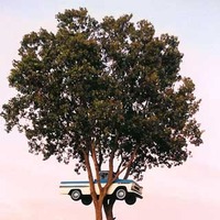 Pickup Truck in Tree