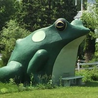 Frog of Fontana