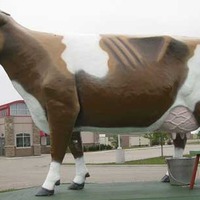Bessie the Cow