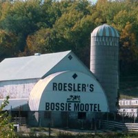 Bossie Mootel - Barn Sign