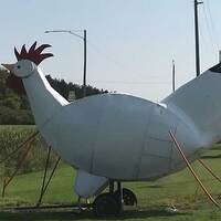 Big Oblong Chicken