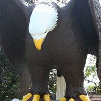 Old Abe the Eagle
