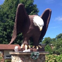 Old Abe, Civil War Mascot Eagle