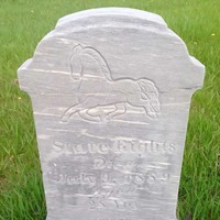 Roadside Grave of State Rights, a Horse