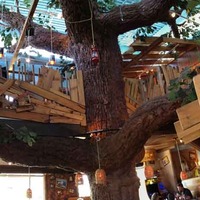 Restaurant With Tree House Decor
