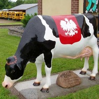 Cow Sculptures