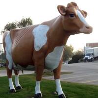 Gertrude Basse the Cow