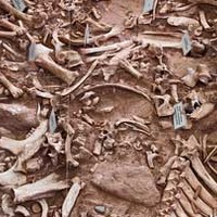 Big Pit of Buffalo Bones