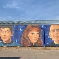Star Trek Doctors Mural