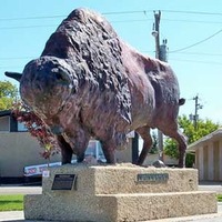 Buffalo Statue, Canada's Biggest