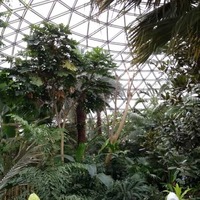 Sci-Fi Dome of the Bloedel Conservatory